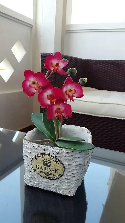 Nova Beach Torremolinos Apartment